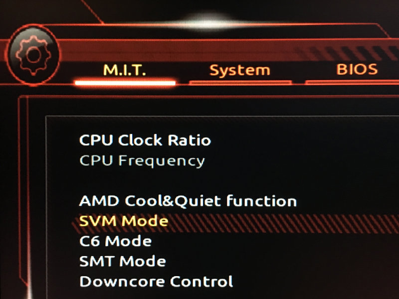 SVM Mode BIOS Screenshot